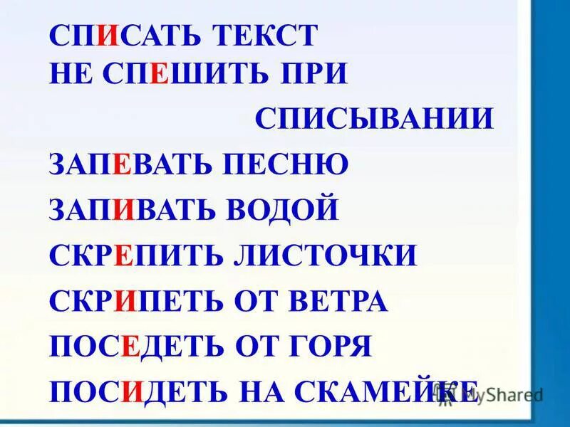 однозначные слова день