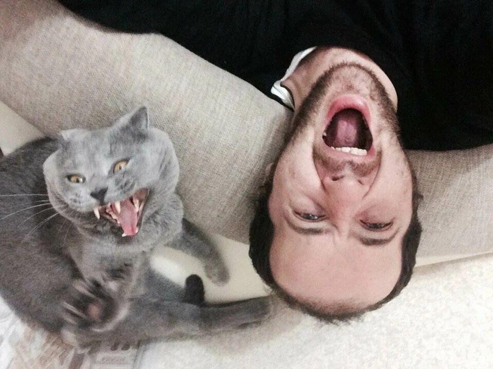 Кот нападает. Человек и животное. Ребенок кусает кота. Кот набросился на человека. Кошка вцепилась в лицо.