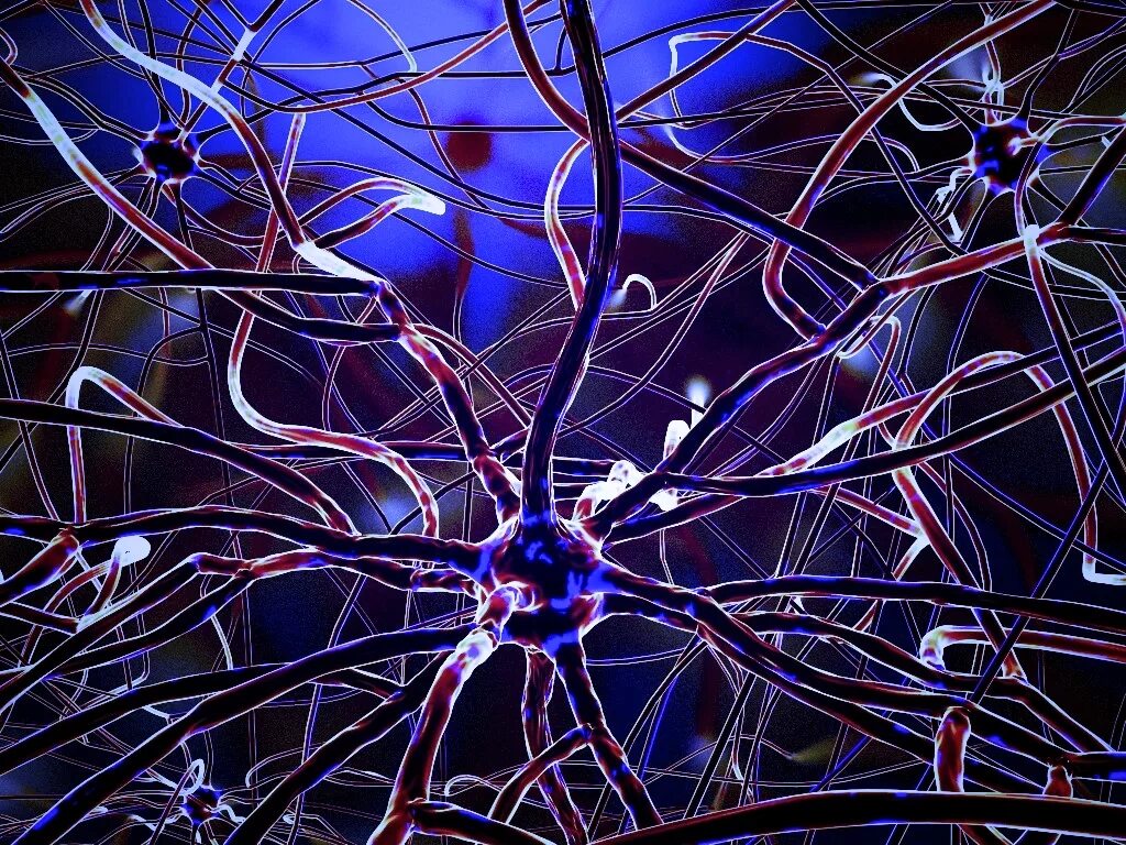 Нейронная сеть человеческого мозга. Нейросеть Нейроны. Нейрон в нейронной сети. Нейронные связи головного мозга. Мозг человека Нейроны.