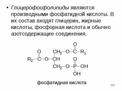 Входит в состав перевод