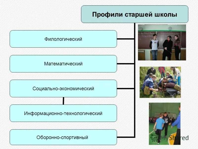 профили старшей школы. профили старшей школы. профильное обучение в школе. профили обучения в школе. гуманитарный физико математический и.