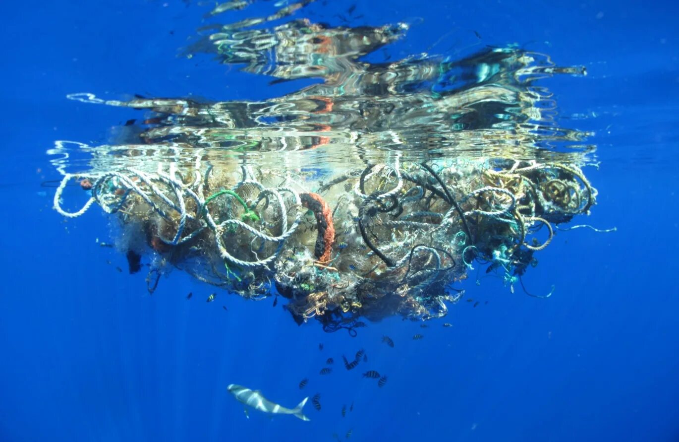26 августа 2012 года в тихом океане. Великий Тихоокеанский мусорный остров. Дрейфующий мусорный остров в тихом океане. Мусорное пятно в тихом океане.