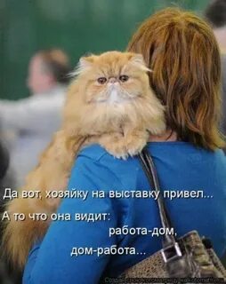 Видим работы