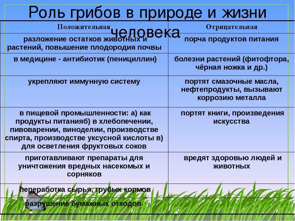 Роль грибов в жизни бактерий. Положительная роль грибов в природе и жизни человека 5 класс биология. Роль грибов 5 класс биология. Роль грибов в природе и жизни человека 5 класс биология отрицательное. Таблица по биологии значение грибов в природе и жизни человека.