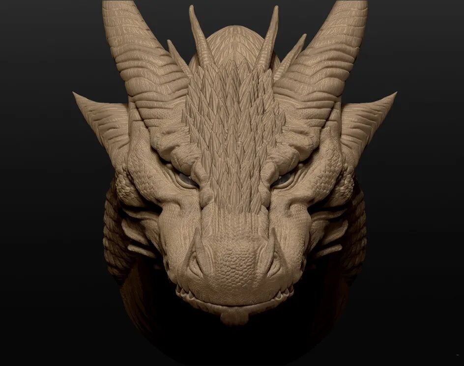 Морад дракона збраш. Лицо дракона. Как называется голова дракона. Голова дракона 3д модель. Дракон зибраш.
