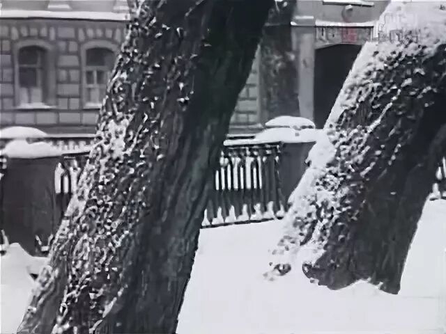 Аналогичный случай был в городе бердичеве