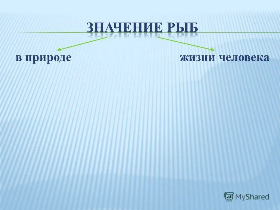 Artmoney старая версия. Все простые числа нечетные. Цифра 114. Чему равна сумма 11101 2 и 1001 2. Что означает цифра 52.