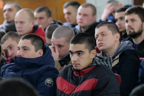 Срочники сейчас