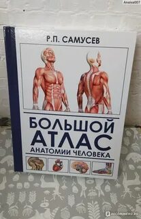 Атлас нормальной анатомии человека самусев