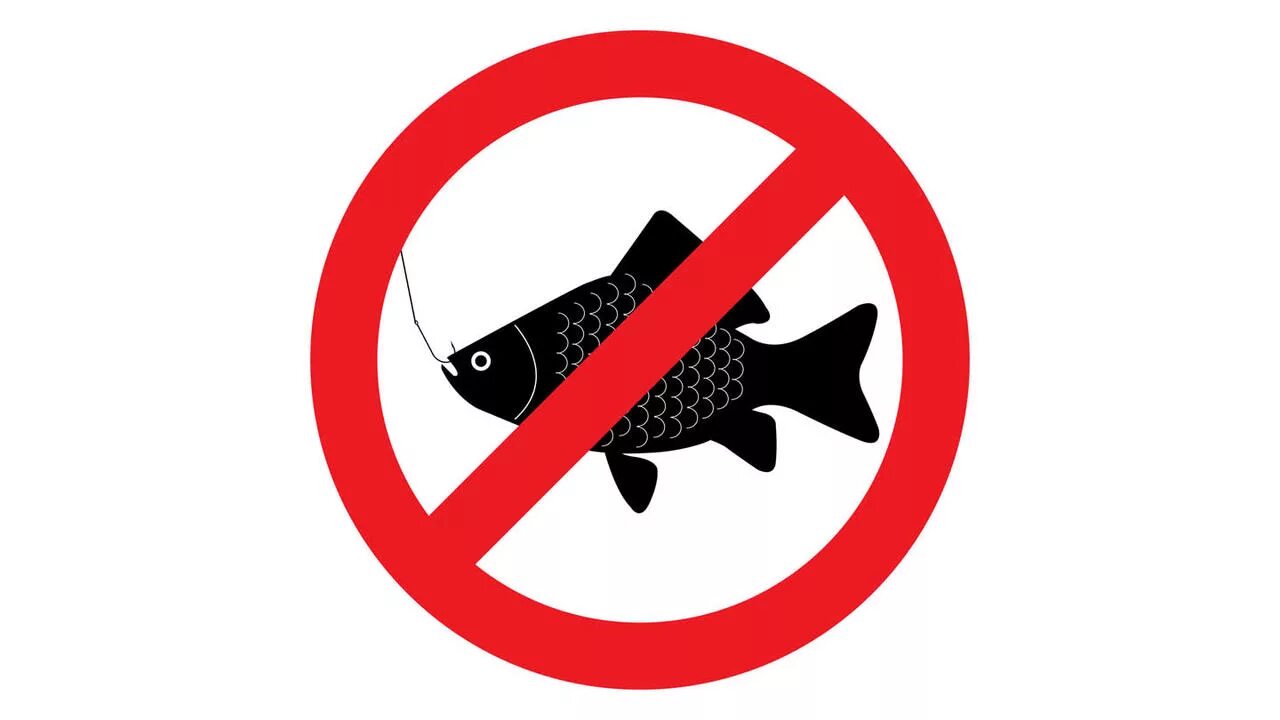С какого числа нерестовый запрет. Лов рыбы запрещен табличка. Ловля рыбы запрещена табличка. Рыбная ловля запрещена. Знак запрета ловли рыбы.