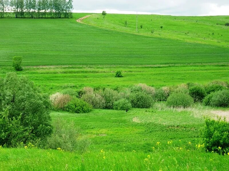земельный тамбов