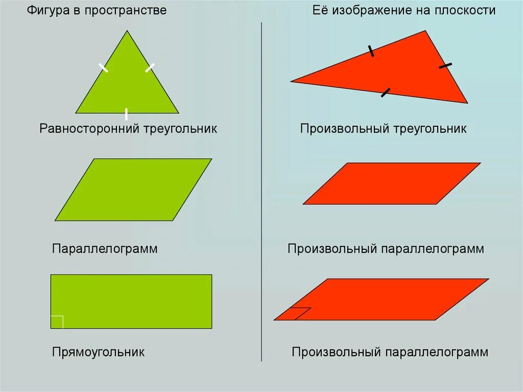 Плоскость можно изобразить. Изображение пространственных фигур на плоскости. Основные геометрические фигуры. Плоскость параллелограмма. Основные геометрические фигуры на плоскости.