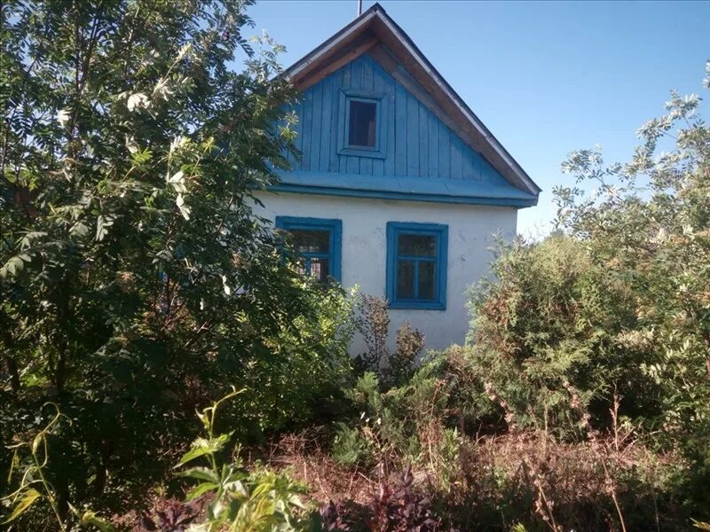 снт строитель строитель. снт дружба ростов. снт дружба-5. магнитогорск сад строитель 8. пос озерный ростовская область.