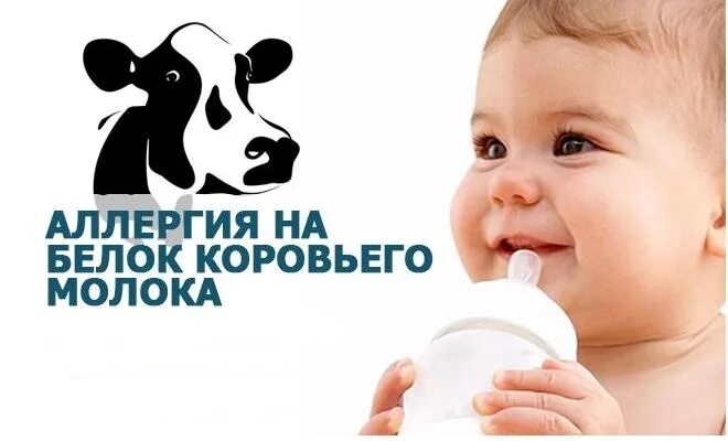 Непереносимость белка коровьего молока у детей. Аллергия на белок коровьего молока. аллергяи белка коровьего молока. аллергия на белок коровьего молока у ребенка. аллергия на коровье молоко.