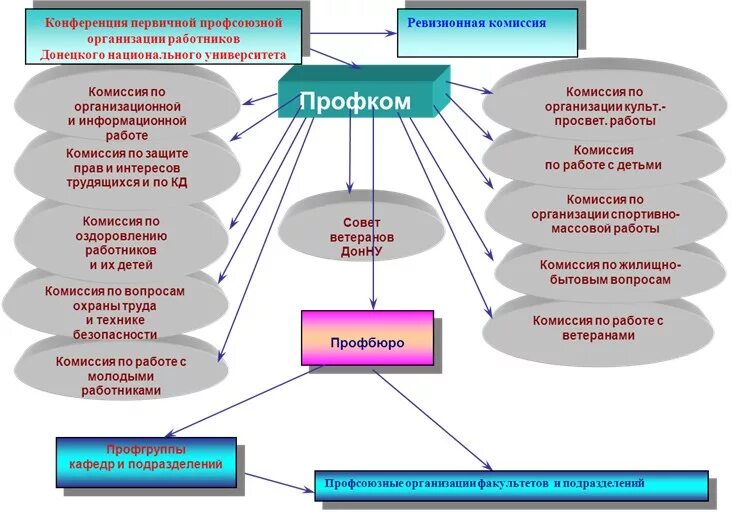 организации структурными подразделениями профсоюза