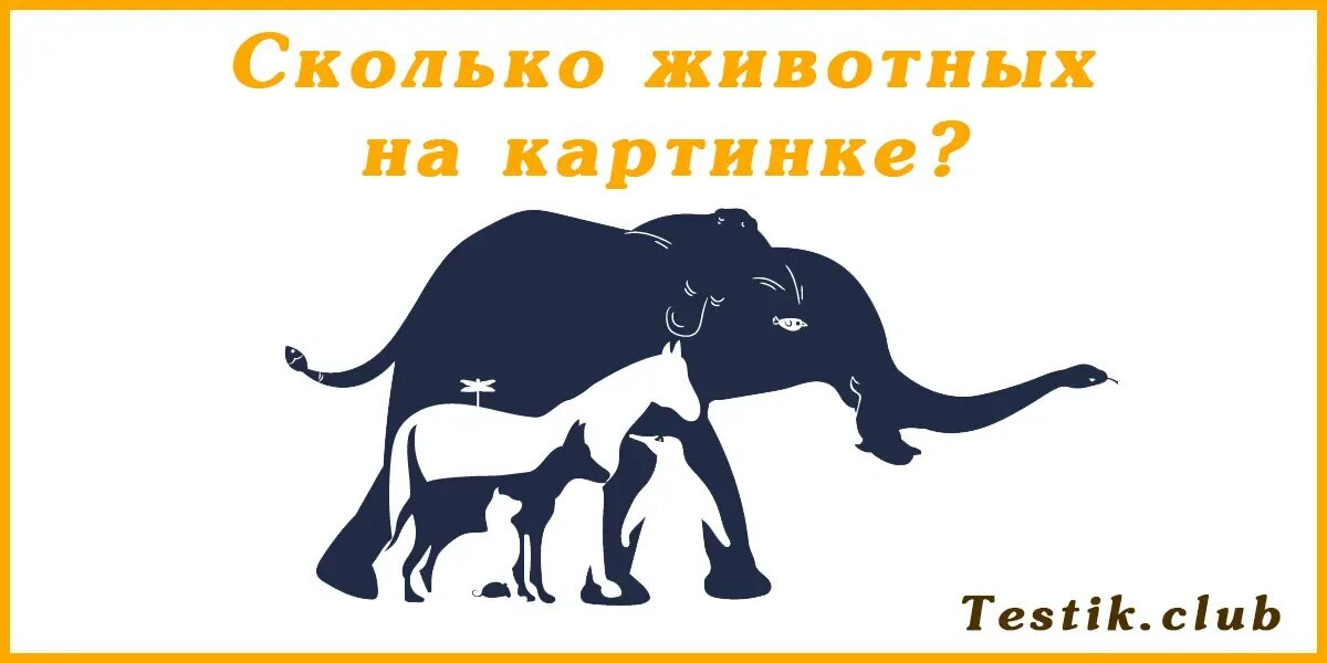 Сколько собак видишь. Сколько животных на картинке. Сколько животных вы видите на картинке. Сколько животных вы видите на картинке со слоном ответ. Сколько животных на картинке со слоном.