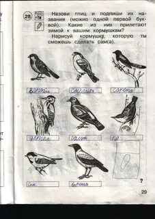 Подпиши рисунки используя слова
