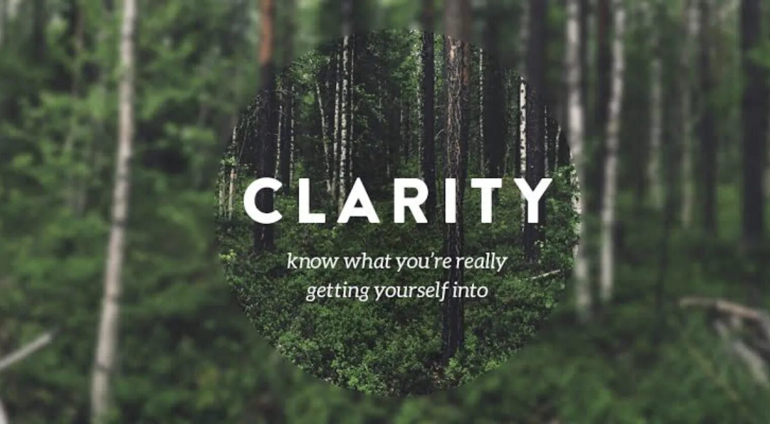 Clarify перевод. Clarity. Lack of Clarity. Clarity перевод в фотошопе.