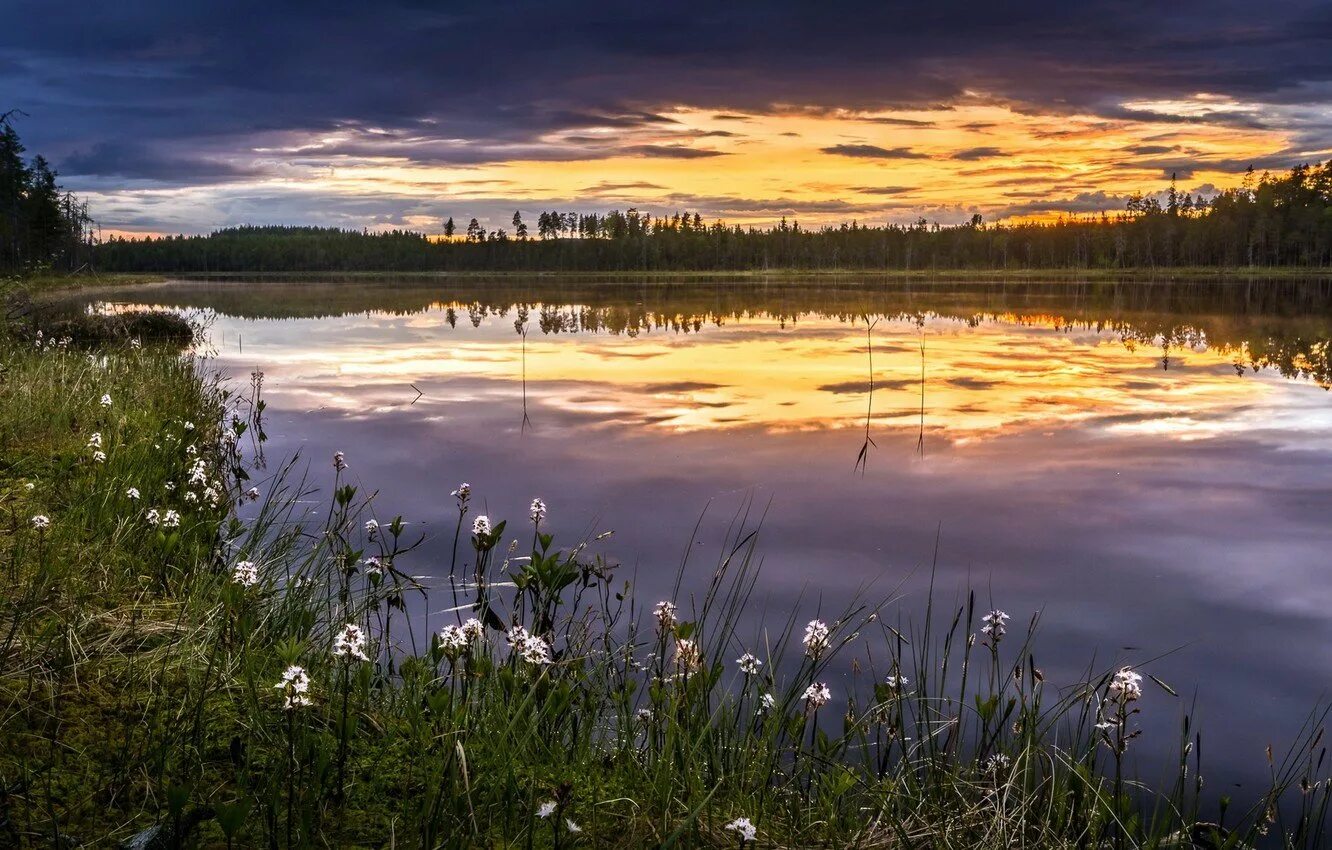тихий летний вечер. летний вечер у реки. вечер и ночь над рекой туман. вечер тихой песнею над плывет. вечер тихой песней.