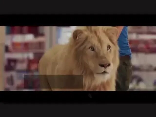 Белый лев трейлер