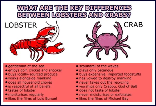 The Lobster and the Crab ответы. Lobster and Crab. The Lobster and the Crab текст. Лобстер vs краб. You know the crab like money