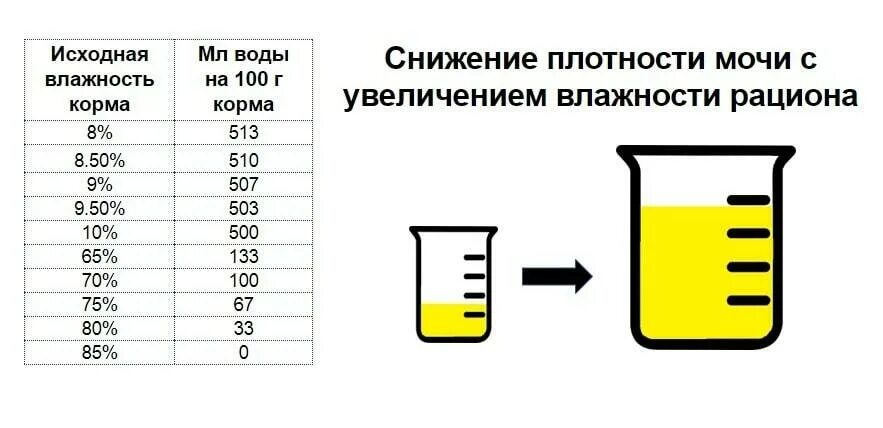 Общий анализ мочи сколько мл. Анализ мочи сколько мл. Сколько нужно мочи для анализа. 12-15 Мл мочи. Сколько мл мочи нужно для анализа.