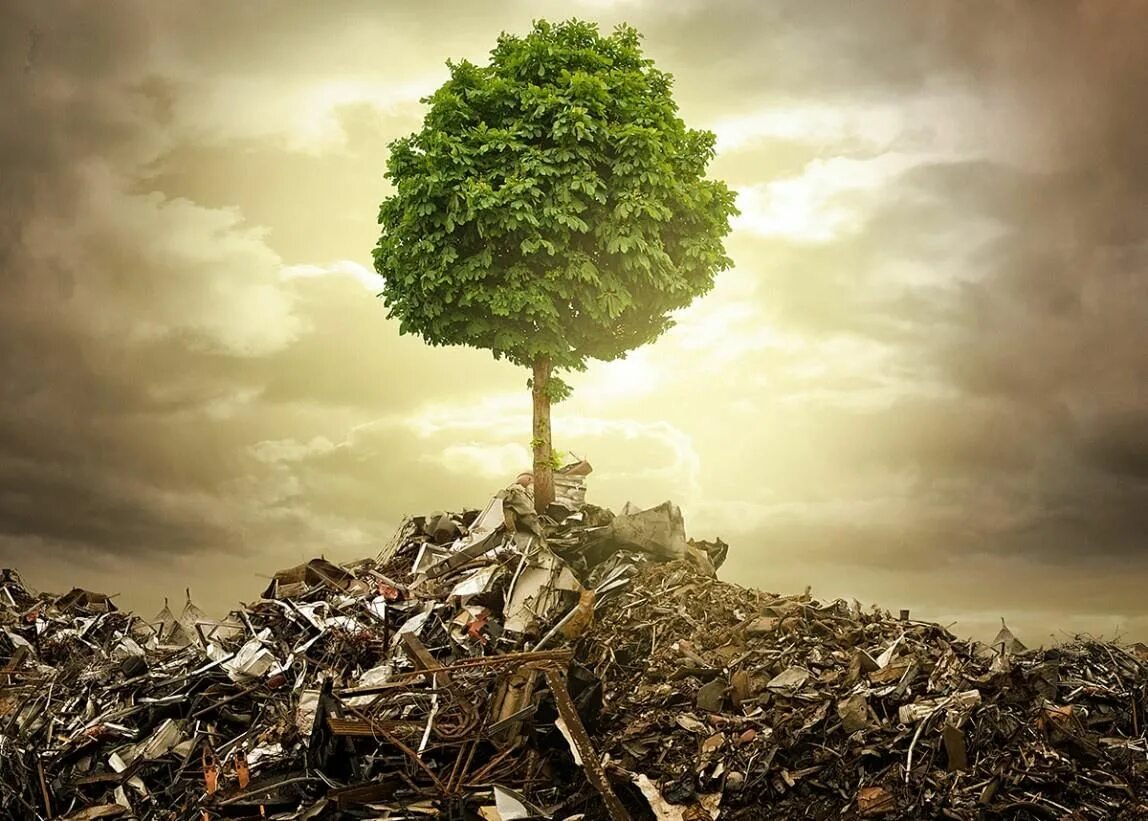 Environmental risk