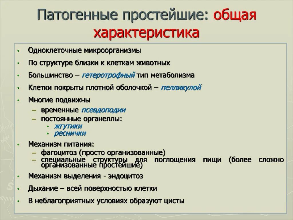 Основное свойство простейших. Классификация патогенных простейших. Патогенные виды простейших. Характеристика и классификация патогенных простейших. Классификация простейших патогенных для человека.