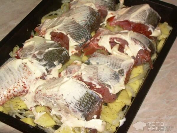 Амур запеченный в духовке. Белый амур в духовке с овощами. Белый амур в духовке с овощами. Амур запеченный. Амур кусочками в духовке.