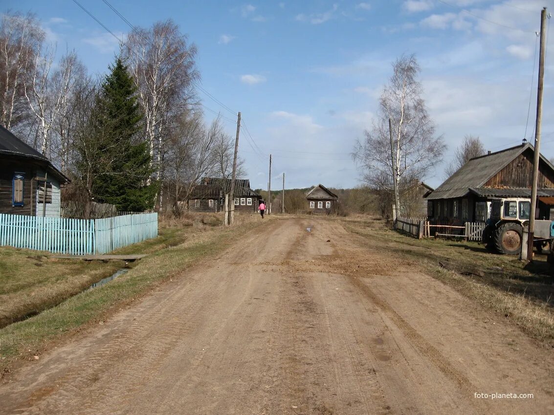 Деревня центр. Деревня Березовка Лихославльский район. Тверская область Лихославльский район деревня Берёзовка. Житниково Лихославльский район. Деревня Березовка ур.