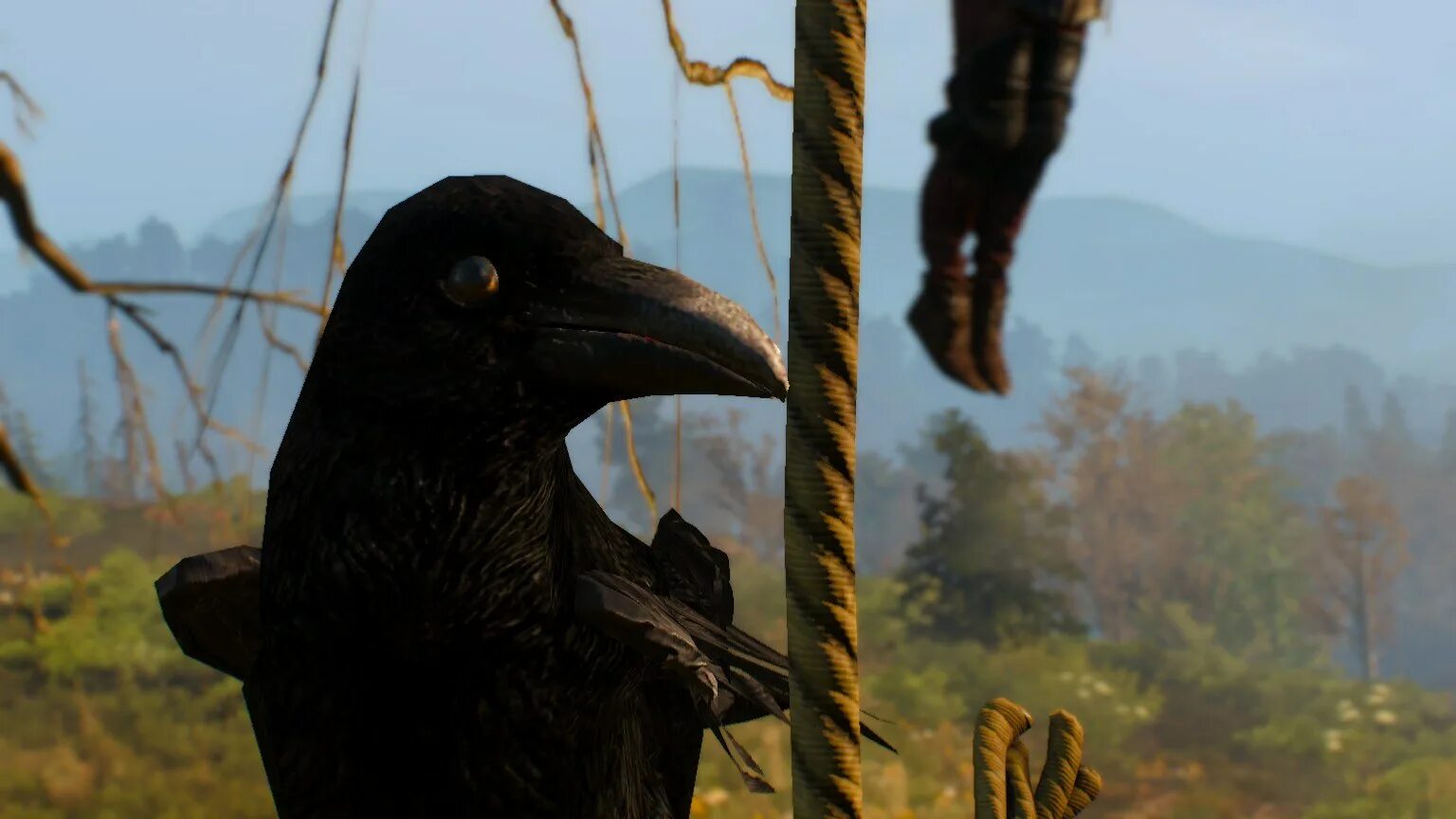 Ворон прах дарксайдерс. Dark souls ворона снаггли. Ворон игра престолов. Игра престолов вороны. Nevermore ворон арка.