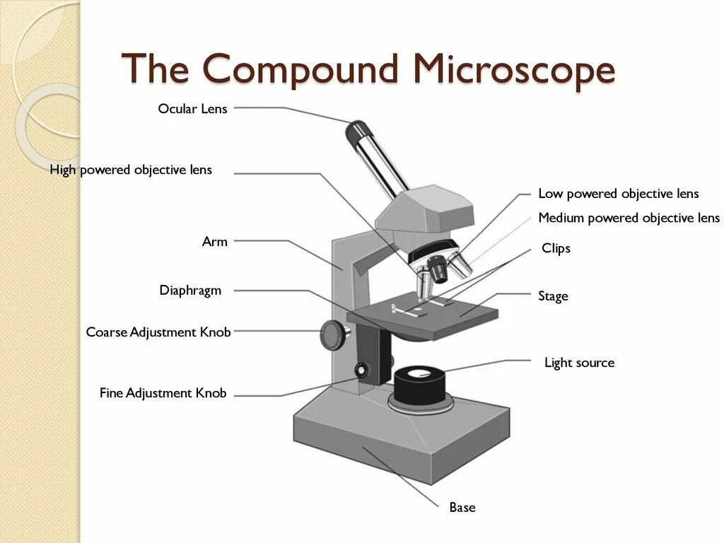 Детали цифрового микроскопа 5 класс биология. Световой микроскоп строение конденсор. Окуляр микроскопа строение микроскопа. Схема светового биологического микроскопа. Цифровой микроскоп части микроскопа.