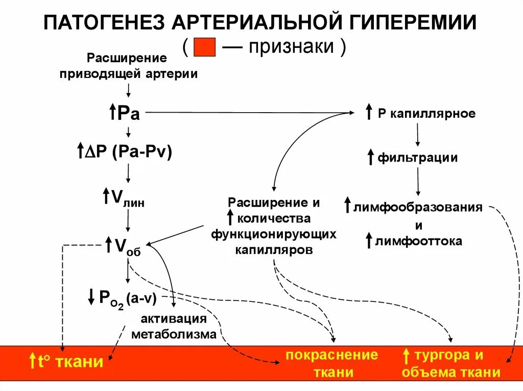 Артериальная гиперемия воспаление. Механизм артериальной гиперемии схема. Механизмы развития артериальной гиперемии. Артериальное полнокровие патогенез. Этиологические факторы артериальной гиперемии.