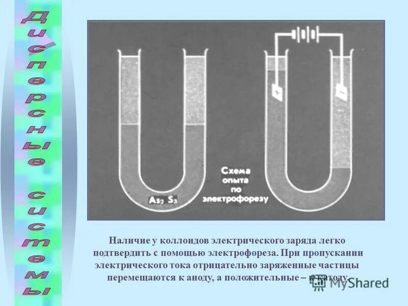 В раствор сахарной воды