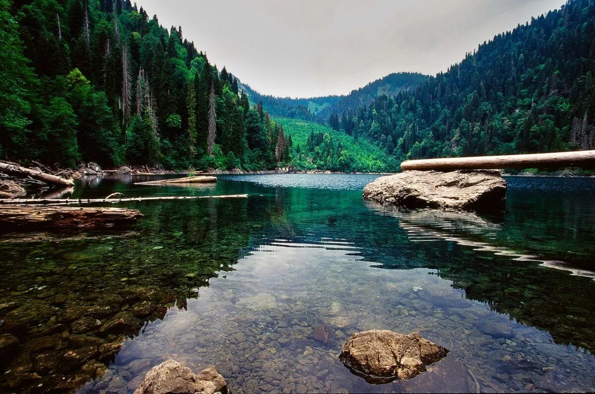 джугаани грузия. ущелье маруха. абхазия природа фото. природа абхазии рица. горный ручей архыз.