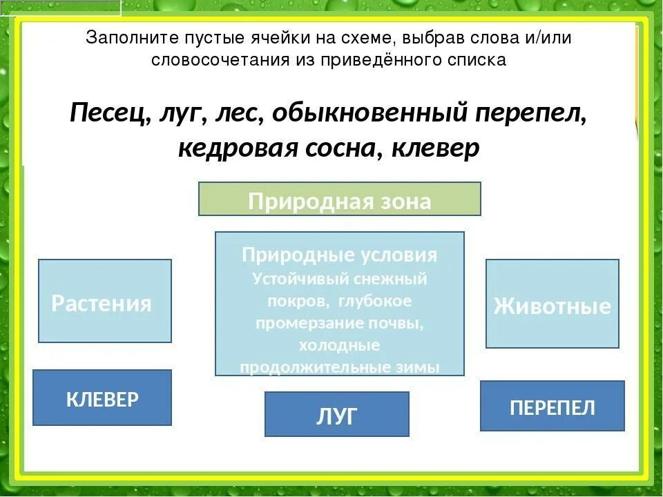 Слово или словосочетание выпадающее из списка. Заполните пустые ячейки на схеме. Заполните пустые ячейки на схеме выбрав. Схема с пустыми ячейками. Заполните пустые ячейки на схеме выбрав слова и/или.