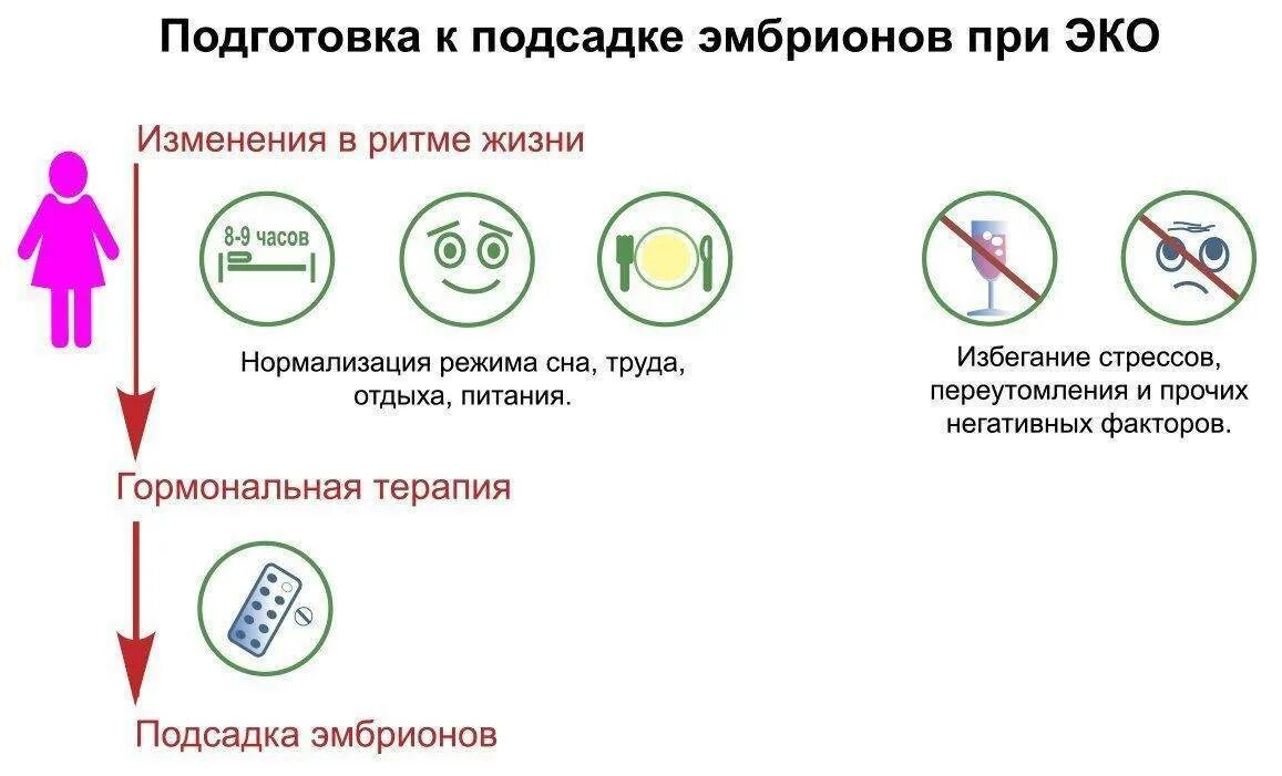 Эко сколько раз можно делать по омс. Классификация качества эмбрионов. Оценка эмбрионов при эко. Перенос эко. Классификация эмбрионов при эко.