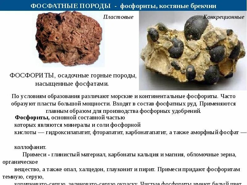 К каким полезным ископаемым относятся фосфориты. Фосфориты полезные ископаемые. пластовые фосфориты. фосфорит осадочные горные породы. фосфорит характеристика.