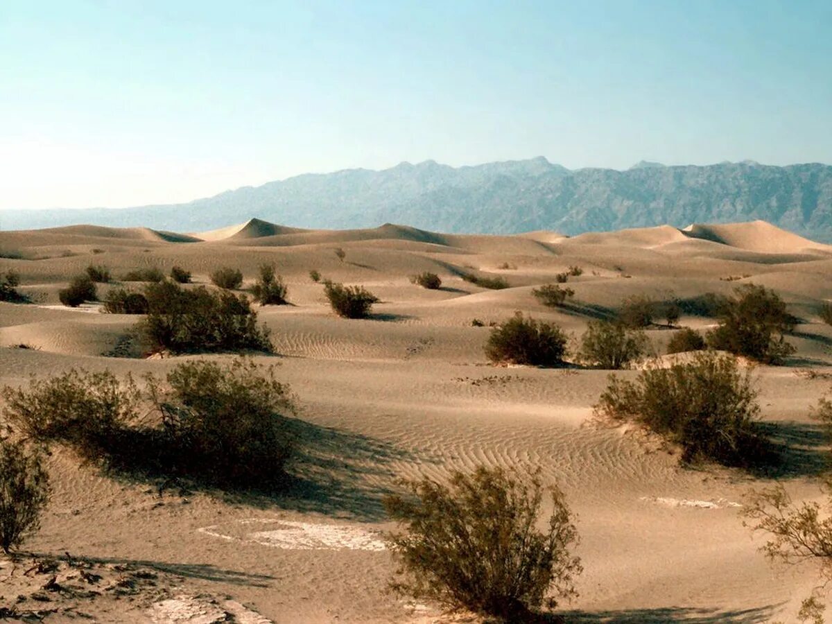 Beautiful deserts. Полупустыни Юго-Западной Азии. Пустыня Эш-Шам. Пейзаж пустыни Кызылкум. Что такое кокпековые пустыни.