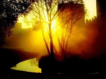 Light of day