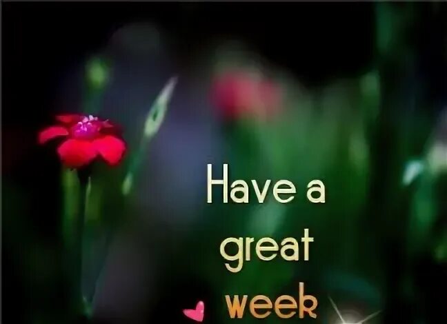 Have a great week. Открытки have a great week. Have a great Monday. Great New week. Have a great New weekend.