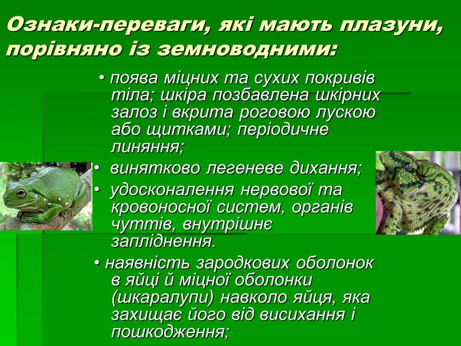 Мати значення