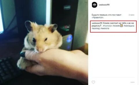 Как мило подписать в телефоне