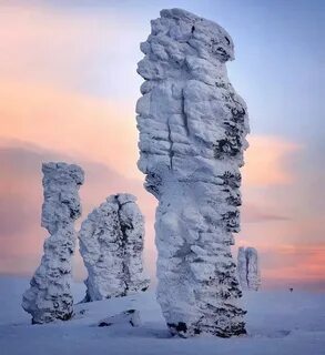 Пупы коми