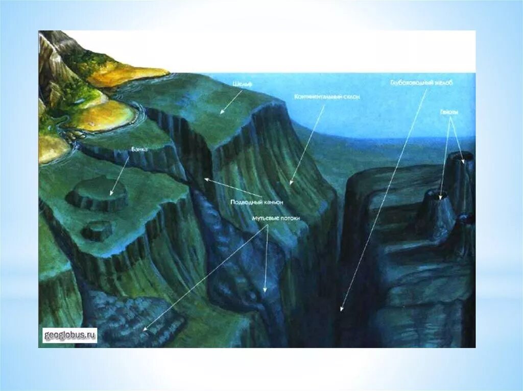 Дно океана география. Рельеф дна мирового океана глубоководный желоб. Формы подводного рельефа. Рельеф морского дна. Рельеф океанического дна.
