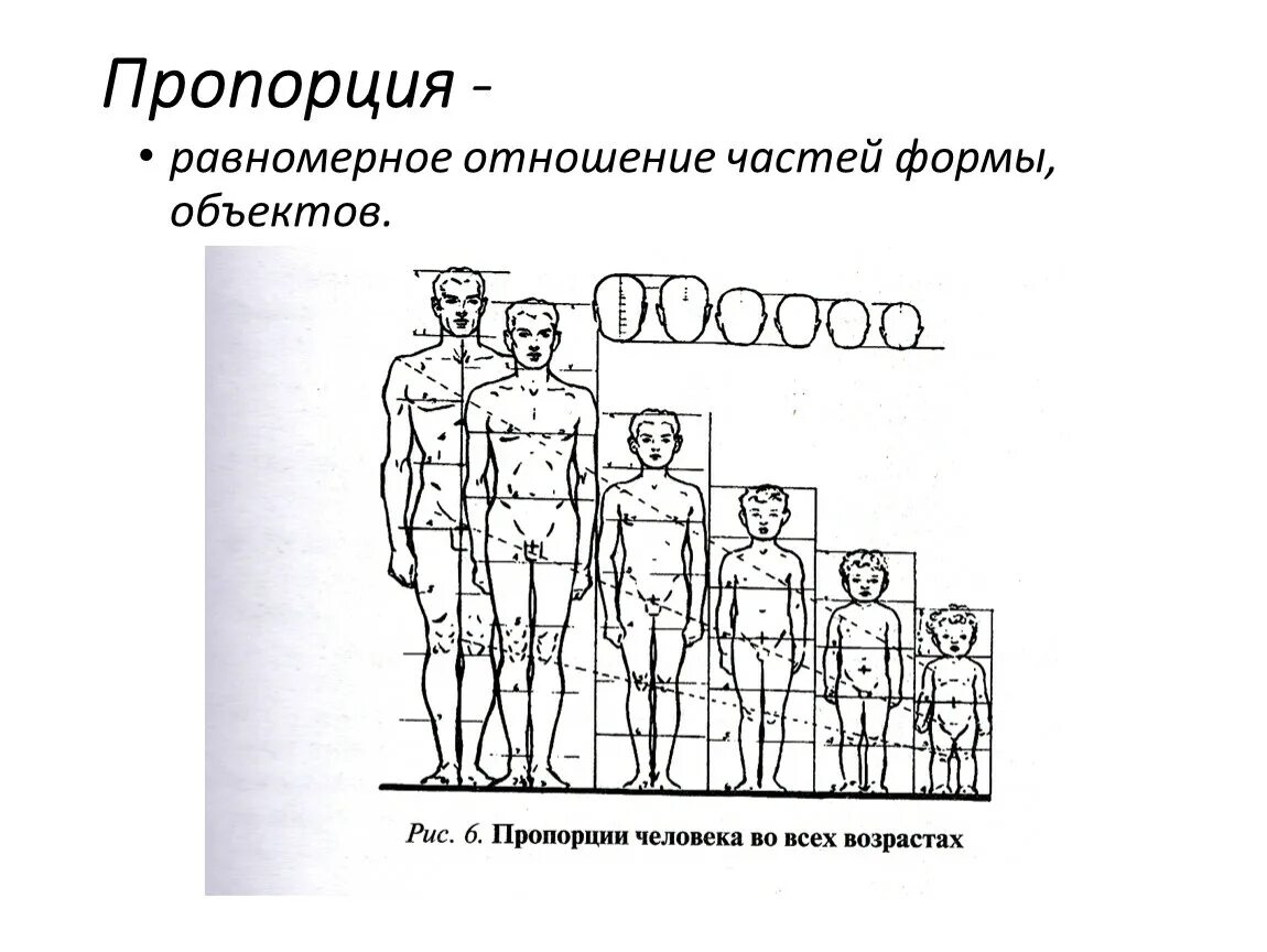 Пропорции человека. Пропорции фигуры человека. Пропорции структура человека. Таблица пропорций человека для рисования.