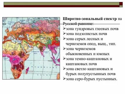Распространение тундрово глеевых