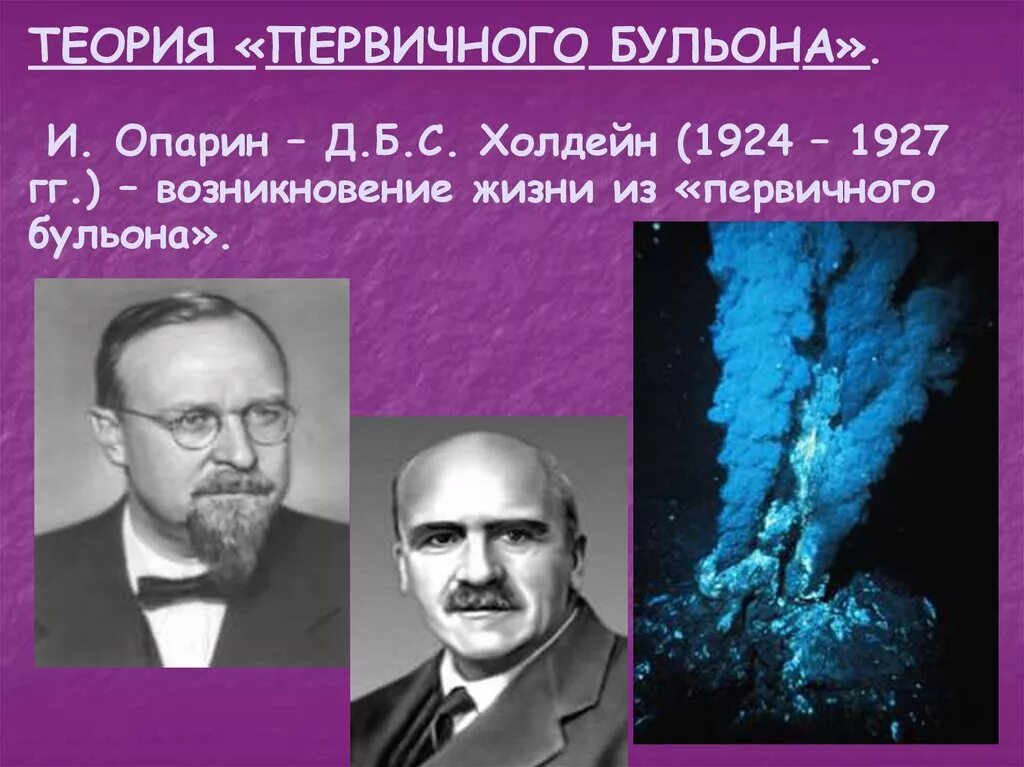 Опарин и Холдейн. Опарин и Холдейн гипотеза. Первичный бульон Холдейн. Теория зарождения жизни первичный бульон.