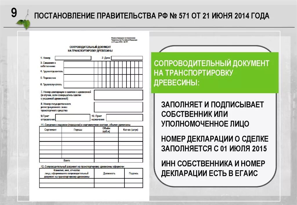 Приказ 571 пр. Сопроводительный лист на транспортировку древесины. Форма сопроводительного документа на транспортировку древесины. Сопроводительное документ на древесину. Заполнение формы для транспортировки древесины.