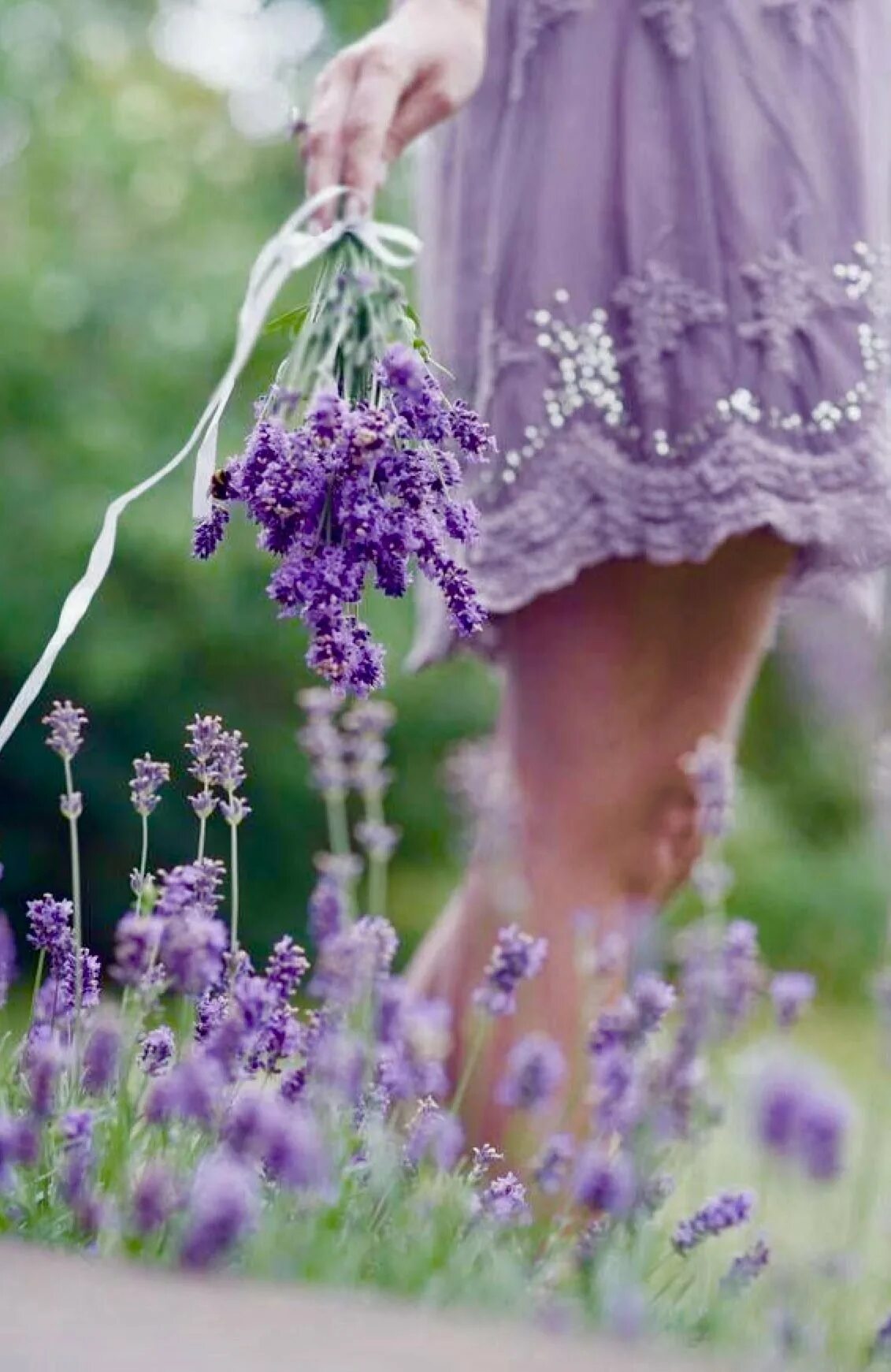 Лаванда Lavender aesthetic. Цветы "Лаванда Горная". Лавандовый цвет. Лавандовое поле.